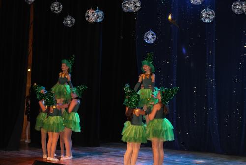 IMG 0291 (1)